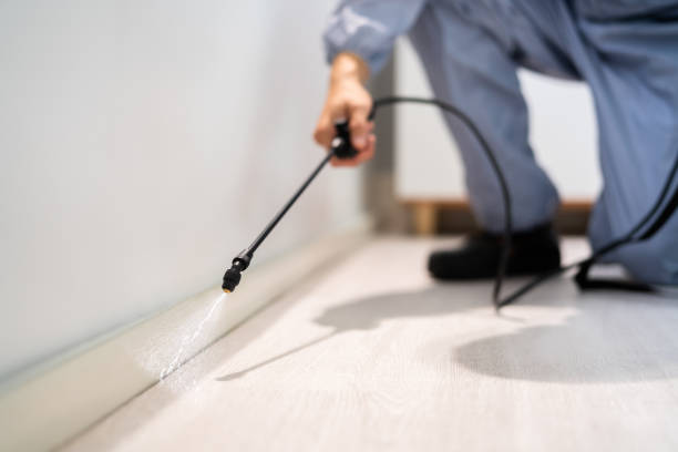 Licensed Termite Control service in Locust, NC - Nex Pest Control