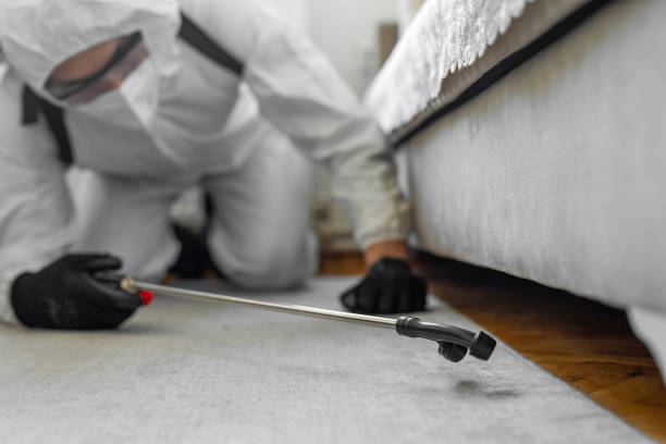 Professional Termite Control technician working in Locust, NC