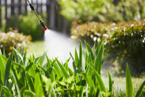 24/7 Emergency Termite Control experts in Locust, NC