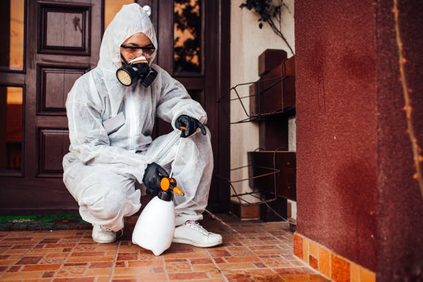 Reliable Termite Control contractor in Locust, NC by Nex Pest Control